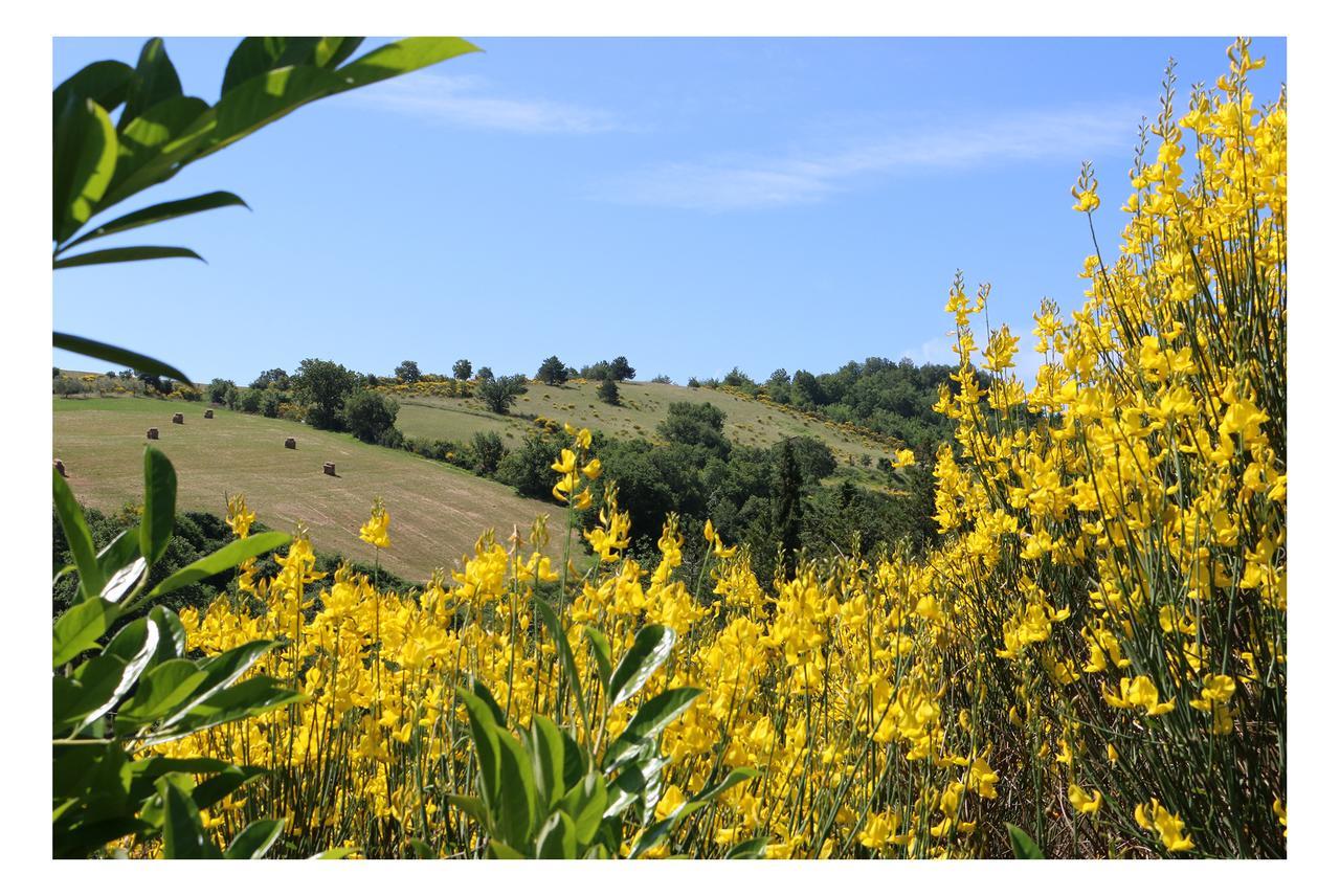 Le Querce Di Campolungo Bed & Breakfast San Giustino Exterior photo